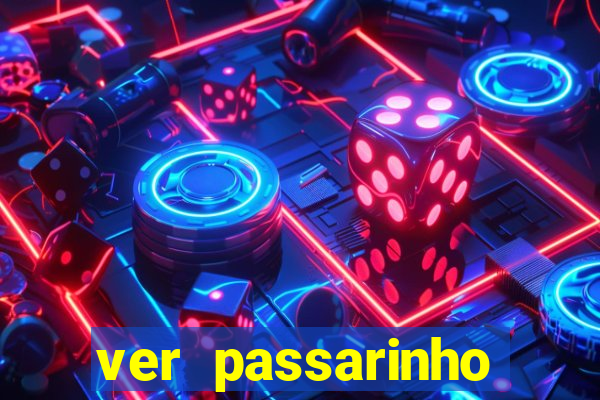 ver passarinho morto significado espiritual